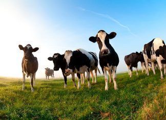 La Historia de la Vegan Society Vegan Society