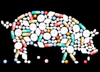 «Parece sana leche, pero es el resultado de la violación» Leche OGM pastillas transgénicos