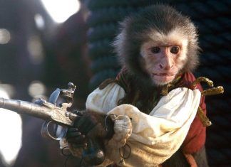 “Piratas del Caribe 5”: escándalo por maltrato animal Piratas del Caribe maltrato animal