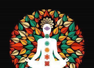 El yoga: beneficios y cómo empezar yoga veganismo