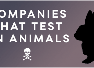 Cosméticos que SI/NO experimentan con animales Laboratorios con productos testados en animales