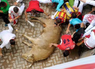 Sanfermines: expresión de la estupidez malvada Sanfermines crueldad