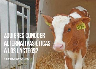¡No necesitas tomar leche para obtener calcio! No necesitas leche para obtener calcio