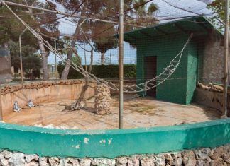 Los zoos en Mallorca no superan el examen de calidad realizado por InfoZOOS Zoos en Mallorca