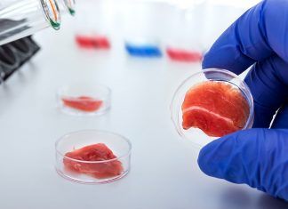¿Carne Vegana? ¿Volver a comer carne? carne vegana de laboratorio volver a comer carne