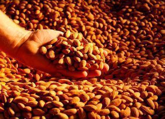 Almendras: llenas de nutrición e historia almendras almendra nutrición alimentación vegana
