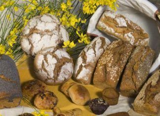 El Escaparate vegano, Diciembre 2019 El Escaparate Vegano