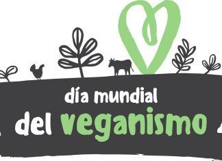 1 de noviembre: Día Mundial del Veganismo. Nuevas infografías y web Día mundial del veganismo