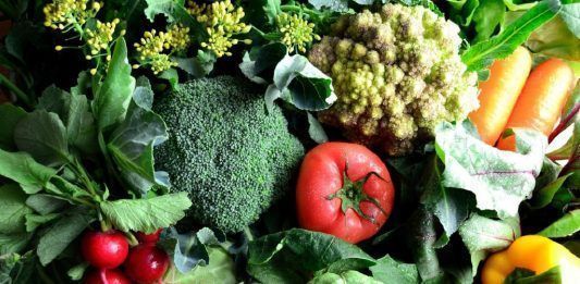 hierro en una alimentación vegetariana