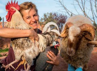El Hogar Animal Sanctuary, pionero y ejemplo de amor El Hogar Animal Sanctuary, pionero y ejemplo de amor