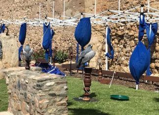 Proliferan las ferias medievales con animales ferias medievales con animales