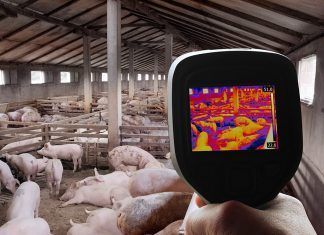Ganadería española: una industria insostenible ganadería española industria insostenible cambio climático
