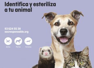 Soy Responsable: La identificación y la esterilización de animales, fundamentales para integrarlos en la sociedad Soy Responsable: La identificación y la esterilización de animales como herramientas fundamentales de tenencia responsable para integrarlos en la sociedad