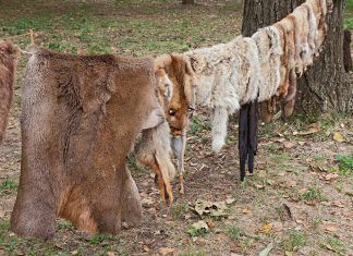 Alternativas veganas al cuero: vestirse y calzarse de forma compasiva Vestirse y calzarse sin cuero: alternativas veganas al cuero compasivas y limpias