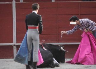 La ONU insta a España a alejar a niños, niñas y adolescentes de la violencia de la tauromaquia La ONU insta a España a alejar a niños, niñas y adolescentes de la violencia de la tauromaquia