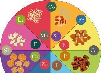 Micronutrientes en la dieta vegana micronutrientes dieta vegana