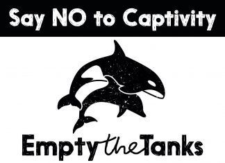 Empty The Tanks: Eventos en todo el mundo para terminar con los programas de ballenas y delfines en cautiverio Empty The Tanks Eventos en todo el mundo para terminar con los programas de ballenas y delfines en cautiverio