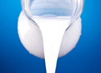Falsos mitos sobre la leche de vaca y alternativas saludables Falsos mitos sobre la leche de vaca y alternativas saludables