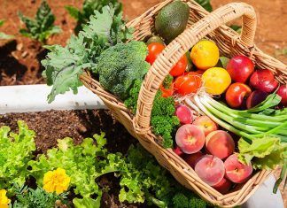 Alimentación y cáncer: una relación más estrecha de lo que parece Alimentación y cáncer