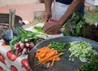 Ferias para difundir el veganismo Ferias para difundir el veganismo