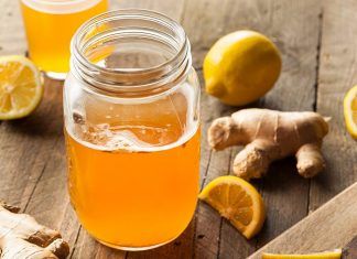 Kombucha, elixir de la salud Kombucha elixir de la salud cómo hacer kombucha en casa