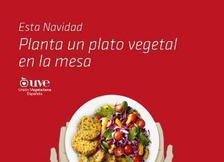 Esta Navidad, planta un plato vegetal en la mesa Esta Navidad, Planta un plato vegetal en la mesa