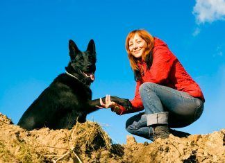 ¡Año nuevo, vida nueva! ¡Año nuevo, vida nueva!