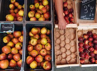 Lista de la compra vegana: buenos procesados Buenos procesados veganos que podrían formar parte de tu lista de la compra