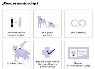 Una campaña efectiva para identificar y esterilizar animales soy responsable Una campaña efectiva para identificar y esterilizar animales