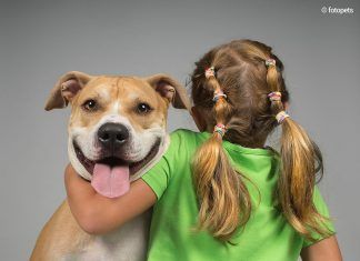 ¿Perros peligrosos? ¿Perros peligrosos?