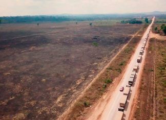 ¿Por qué arde el Amazonas? ¿Por qué arde el Amazonas?