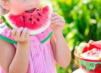 FEUMVE pide la opción de un menú vegano en los centros escolares FEUMVE pide la opción de un menú vegano en los centros escolares