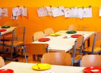 La UVE pide a la Generalitat Valenciana que incluya el menú vegetariano en los colegios La UVE pide a la Generalitat Valenciana que incluya el menú vegetariano en los colegios