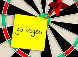 Be Veggie, el festival vegano Be Veggie, el festival vegano