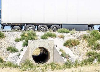 Pasos de carretera: una solución necesaria para animales humanos y no humanos Pasos de carretera: una solución necesaria para animales humanos y no humanos