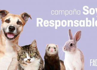 Soy Responsable, la campaña para identificar y esterilizar animales, ya en toda España Soy Responsable, la campaña para identificar y esterilizar animales, ya en toda España