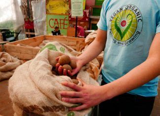 Permacultura vegánica: agricultura para sanar el mundo Permacultura vegánica: agricultura para sanar el mundo