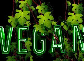 El veganismo es mucho más que una dieta, es una actitud ante la vida El veganismo es mucho más que una dieta