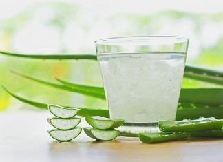Rejuvenecer con la alimentación y el Aloe Vera aloe vera
