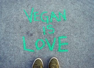 Veganismo: ¿cuál es la opinión general de la gente? veganismo opinión general