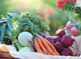 El Escaparate Vegano, Junio 2025