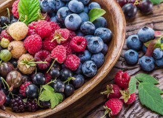 Veganos y memoria veganos y memoria