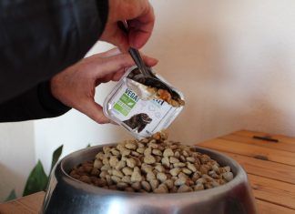 Comida vegana para perros Comida vegana para perros