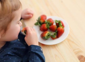 Niños veganos y comedores escolares – ¿Qué hacer si tu centro no garantiza sus derechos?
