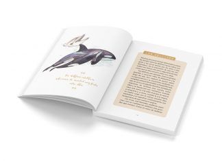 La voz de los animales: la educación y el pensamiento crítico son transformadores