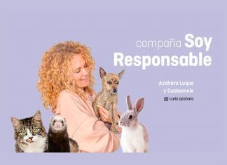 Arranca una nueva edición de la campaña de identificación y esterilización de animales “Soy Responsable”