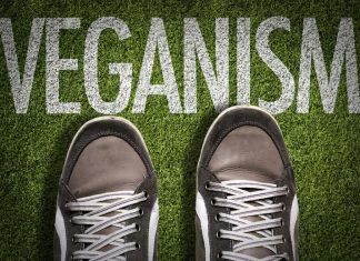 ¿Qué es la piel vegana? ¿Es sostenible? ¿Qué es la piel vegana ¿Es sostenible