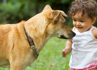 ¿Qué lenguaje utilizan los niños con los animales con los que conviven?