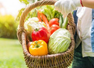 El Escaparate Vegano, Junio 2021