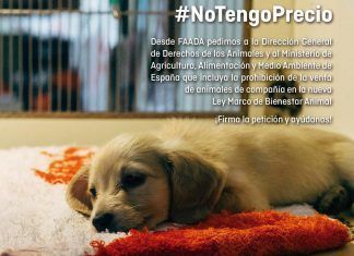 #Notengoprecio: la solución efectiva para detener el tráfico de animales de compañía